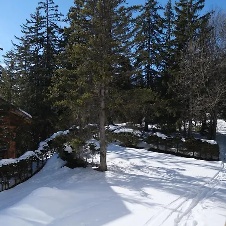 Cozy, Calme, Ski-in Et Ski-out Appartement