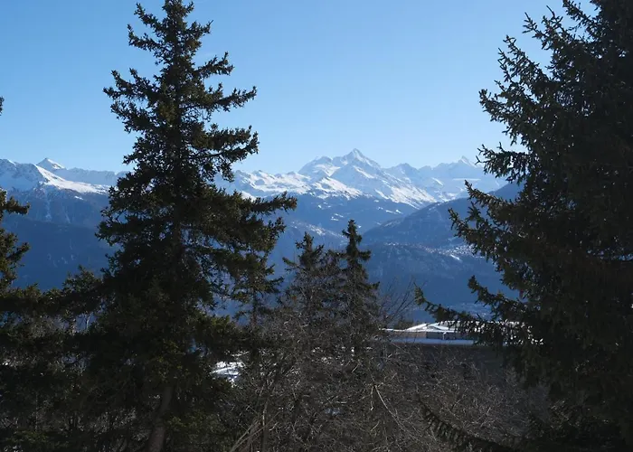 Lägenhet Cozy, Calme, Ski-in Et Ski-out Crans-Montana