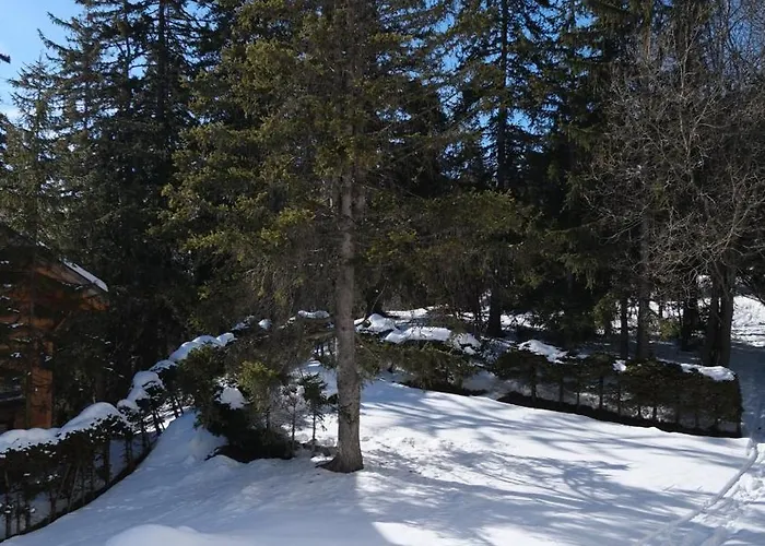 Cozy, Calme, Ski-in Et Ski-out Lägenhet